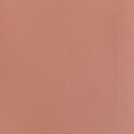 Earth Color X603-19 Leather Sofa for Comfort