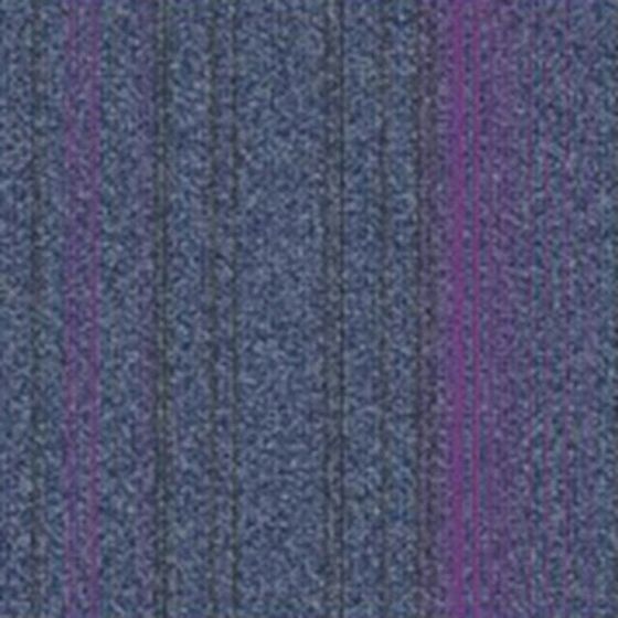 Carpet in Earth Color