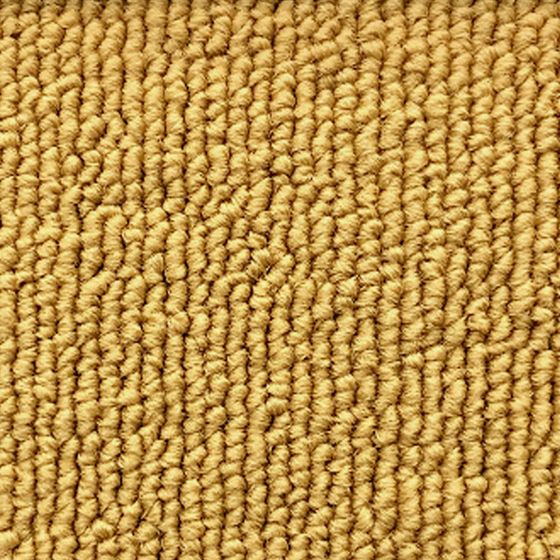 Full Coverage Carpet 3D Model for Cozy Homes