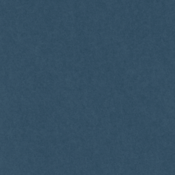 Chic Black Felt Carpet 3D Model