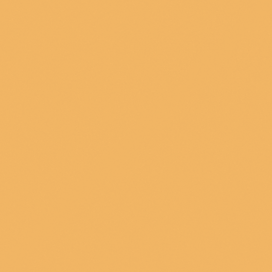 Wood Color Wall Paint 3D Model