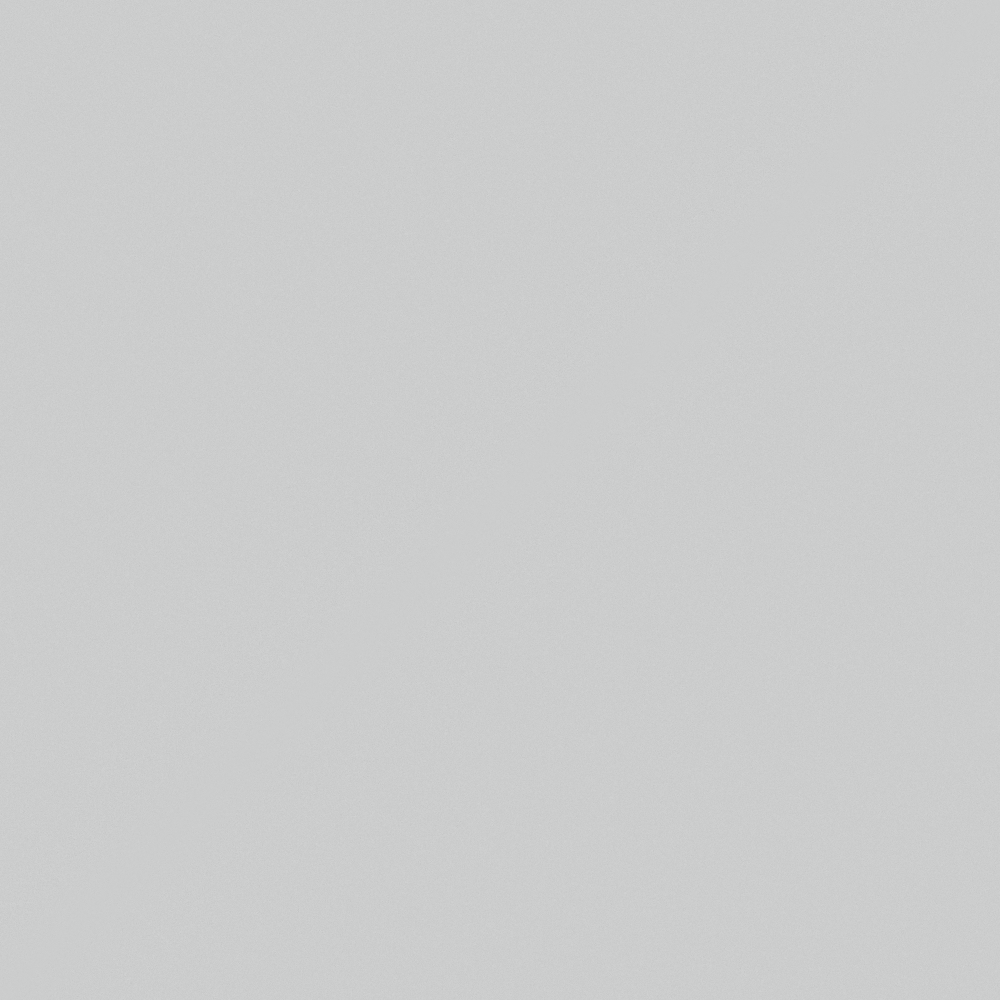 Aluminum gray NN0372-4 designer main color