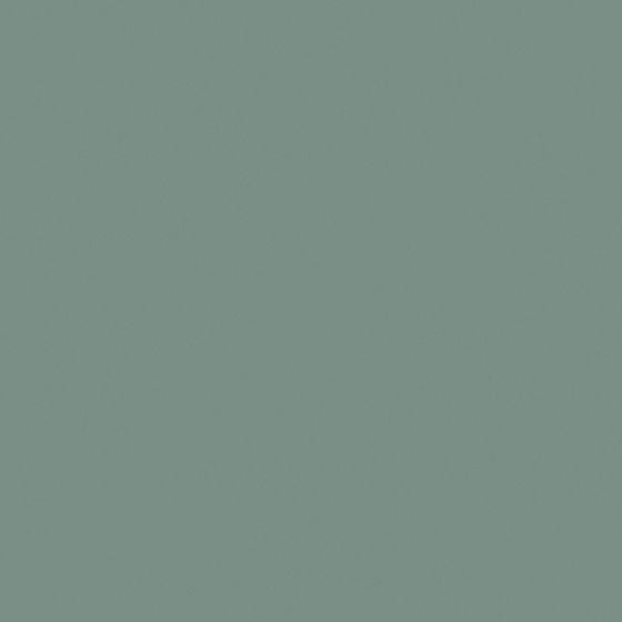 Indian Green NN6130-2 Designer Wall Paint 3D Model