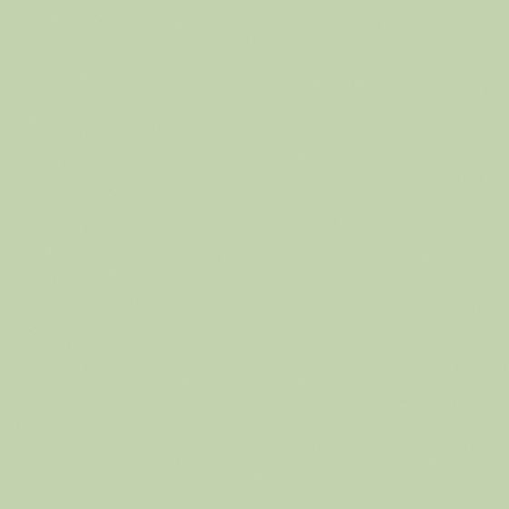Green Shrub GN5020-3 Designer Wall Paint
