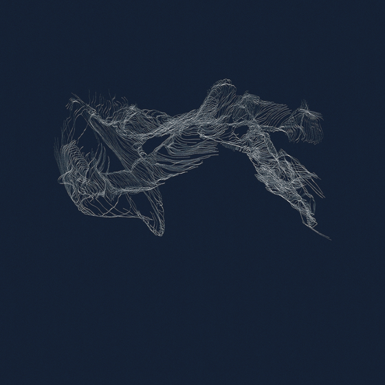 Luxurious Black Embroidered 3D Model for Elegant Spaces