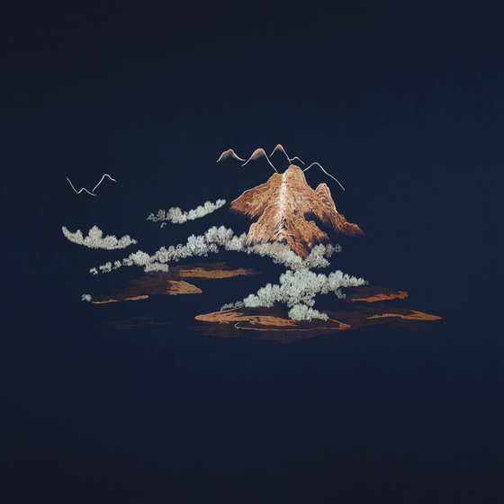 Stylish Black Patterned Embroidery 3D Model