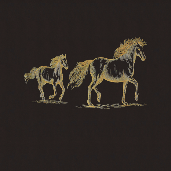 Exquisite Black Chinese Style Embroidery 3D Model