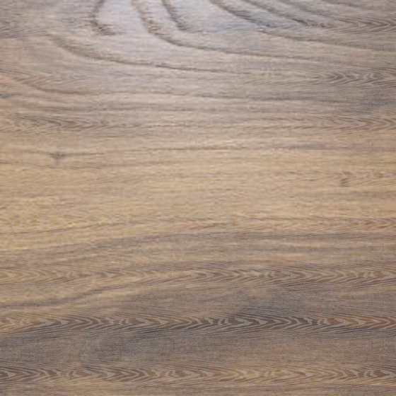 North American walnut