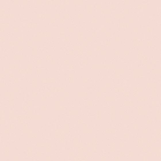 Beige Wall Paint Coating