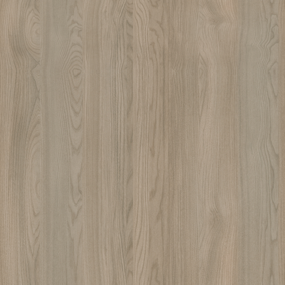 High-Quality Elm Wood 3D Model in Nice Shadow Gray
