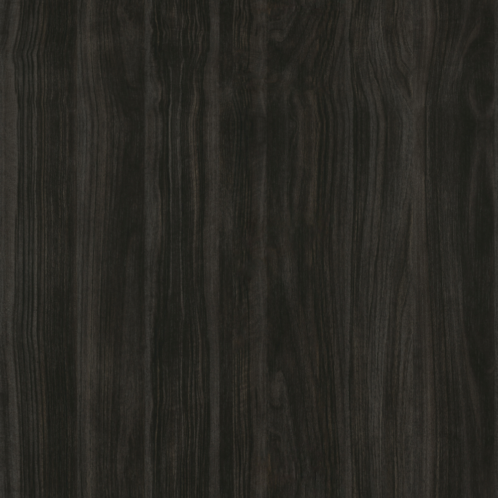 10039Y03-North-Nice Shadow