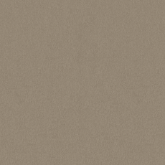 Rough Skin Pattern 3D Model in Khaki Brown