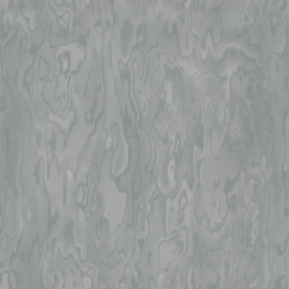 10036Y01-Annual Ring Color Painting-Nice Shadow