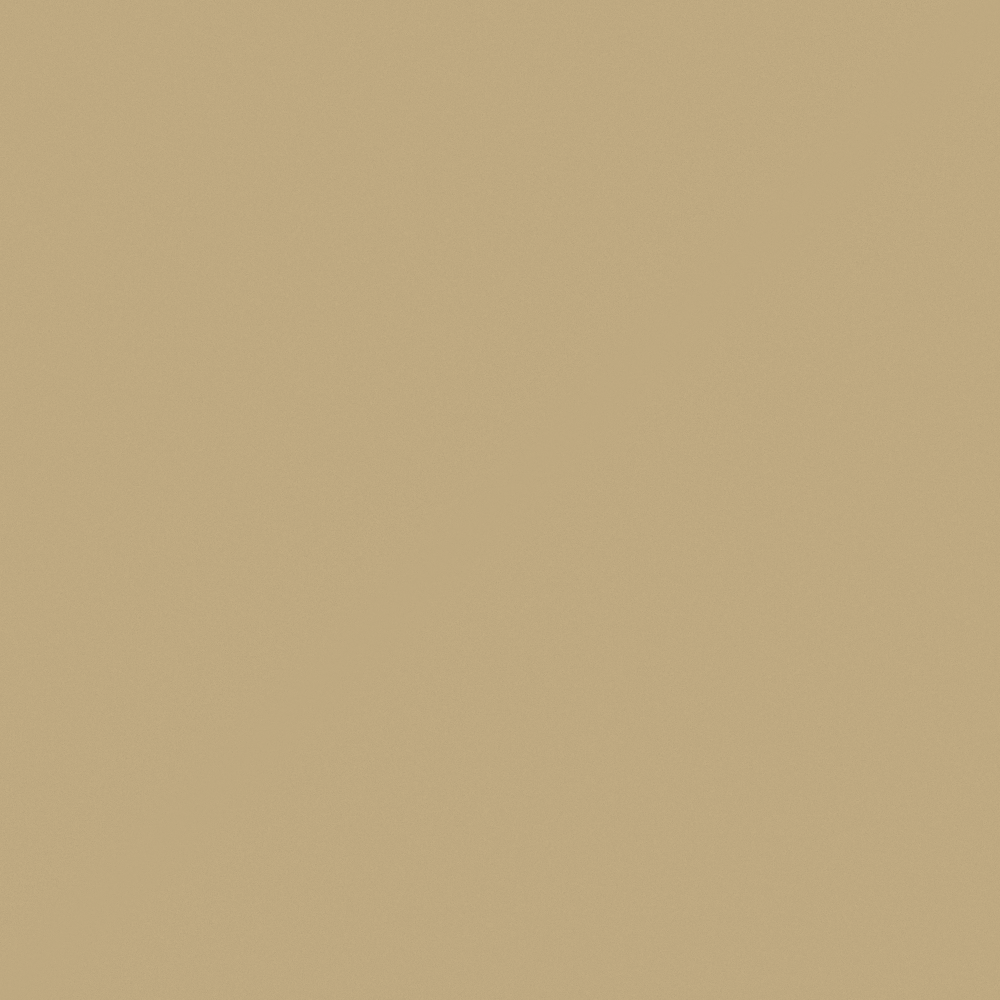 Brown Wall Paints and Coatings 3D Model