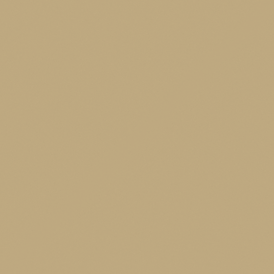 Elegant Brown Wall Paint for Warm Interiors
