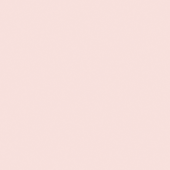 Pink Wall Paints/Coatings 3D Model