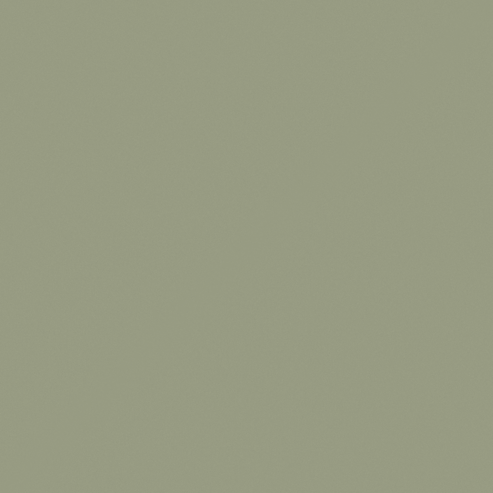 Gray Wall Paint 3D Model for Stylish Interiors