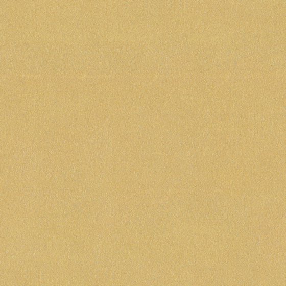 Wood Color Holland Cote Art Coatings for Warm Walls