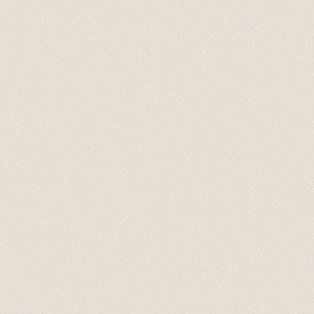 Soft beige textured wall paint sample with subtle grain pattern on neutral background