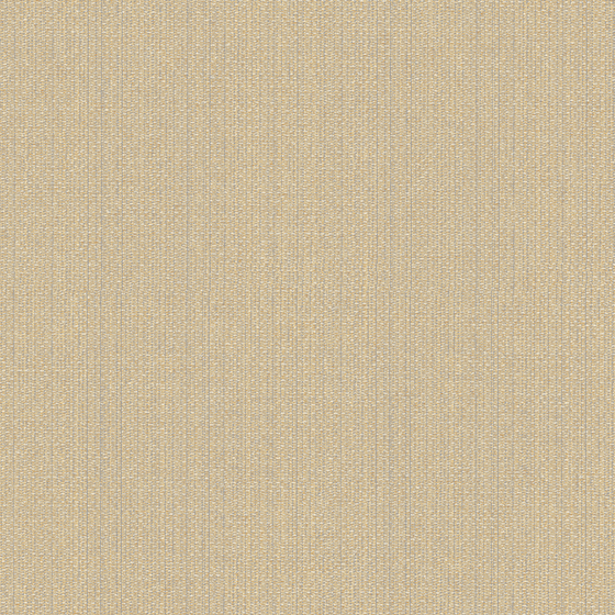 Wood Color EUROART Wallpaper 3D Model