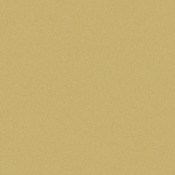 Earth Color Wall Paints and Coatings