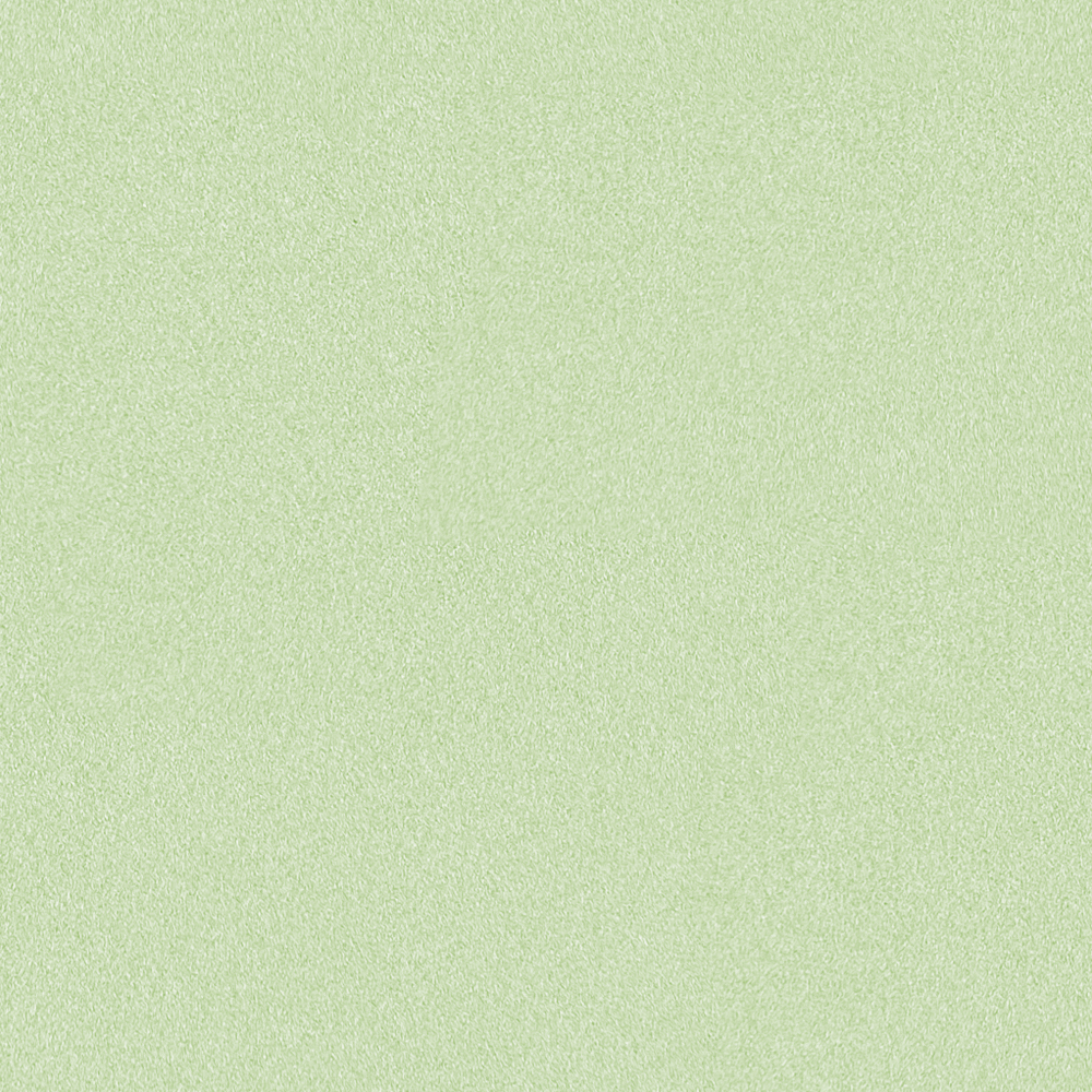 Wall paints/coatings