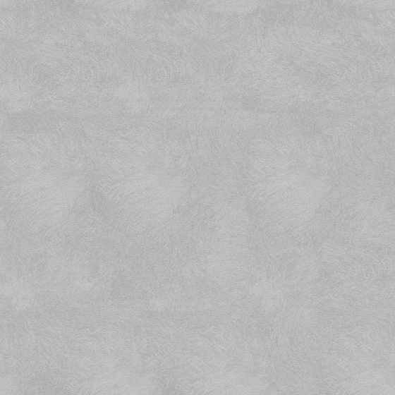 Stylish Wall Paint Coating 3D Model in Gray