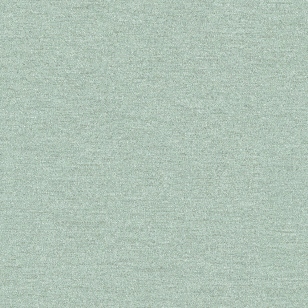 Beauty House - Plain Seamless Wallpaper - BH3953