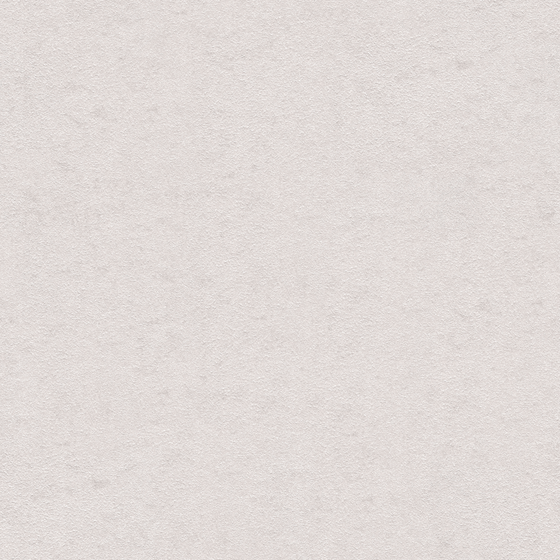 Stunning Gray Silk-Pearl Wall Paint 3D Model