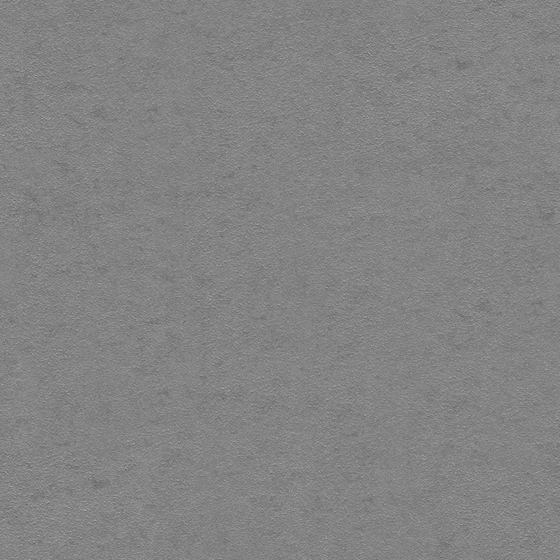 Puttola Silk - Premium Gray Wall Paint