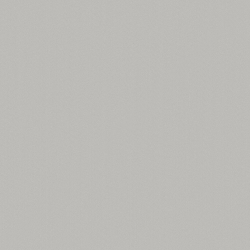 10367Y10-Indian Silver-Italian Velvet