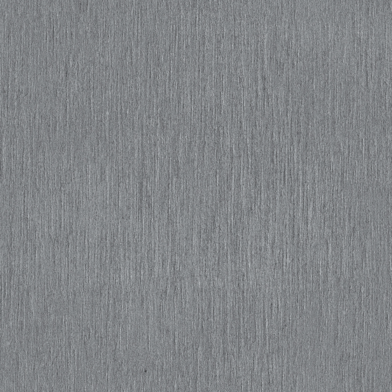 Plain Grey Paint 3D Model for Interior Design