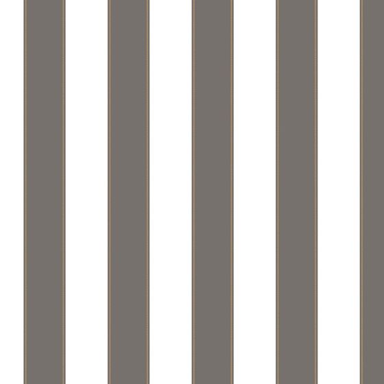 Elegant Striped Wallpaper 3D Model