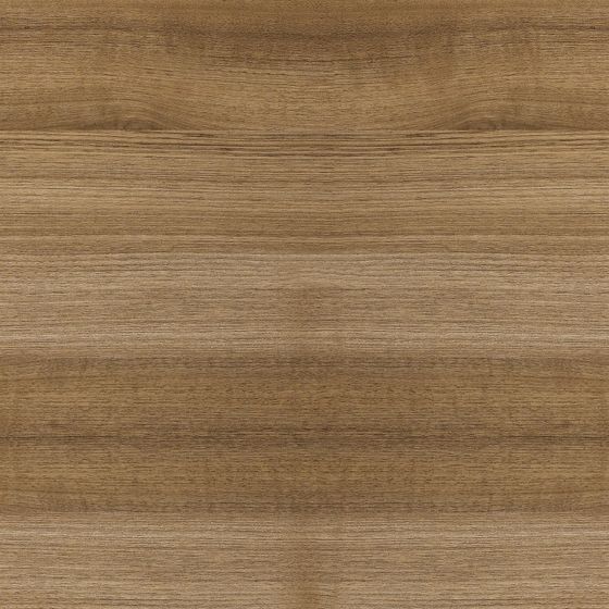 Oak Forest Floor 3D model for Creative Projects