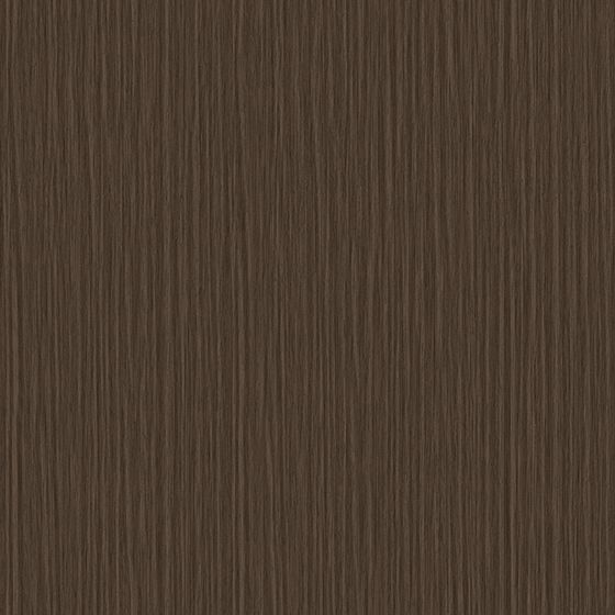 Forest Path Floor Texture 3D model