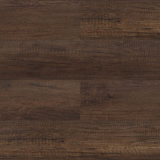 Woodland Floor 3D model