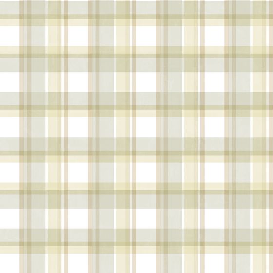 Vintage Plaid Fabric Texture 3D model