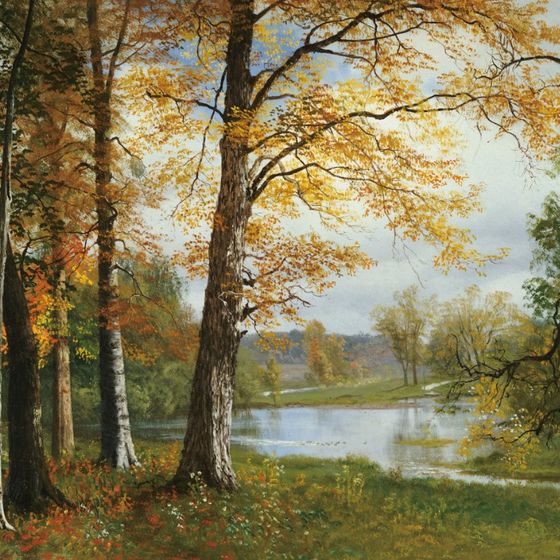 Golden Forest 3D Model for Creative Projects