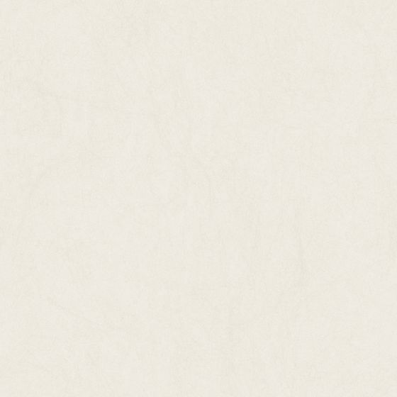 The Paper House 3D model