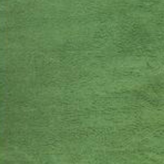 Nippon Icolor Carpet 3D Model in Green