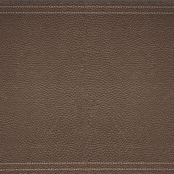 Vintage Leather Carpet 3D model