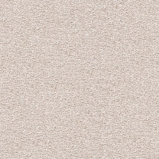 Luxury Ash Carpet 3D Model for Full Floor Coverage