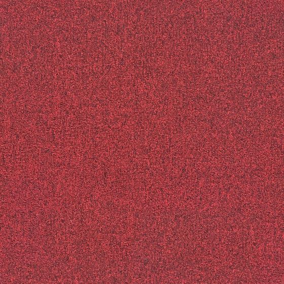 Red Carpet Magic 3D model