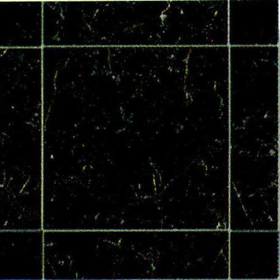 Extraordinary Life Tile Picture Material in Black