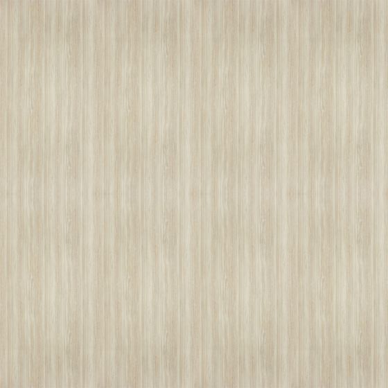 Realistic Wood Texture 3D Model for Design Projects