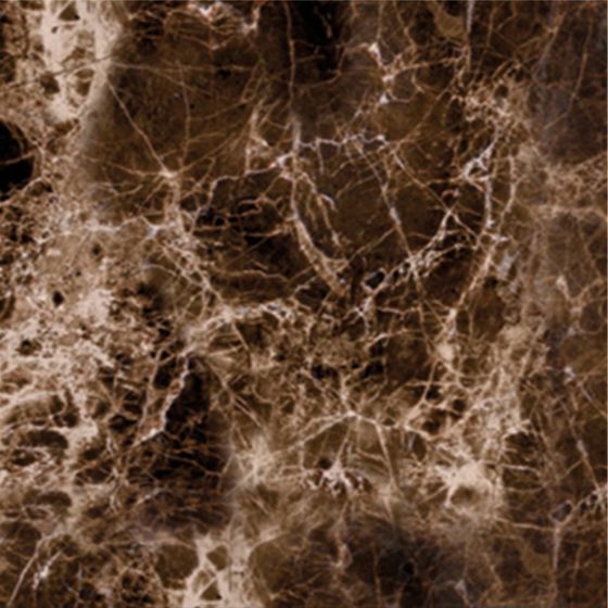 Realistic Spider Web 3D Model