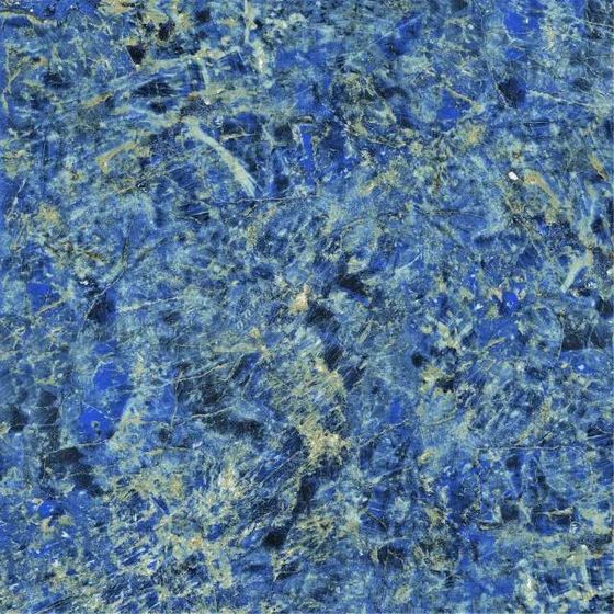 Deep Sea Gem 3D Model for Creative Projects