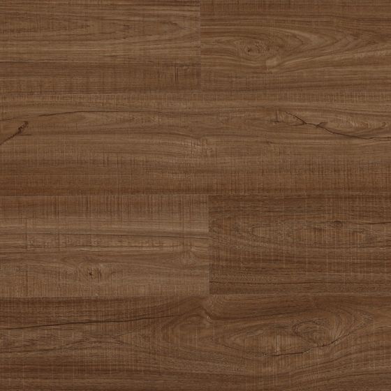 Forest Floor Low-Poly 3D model