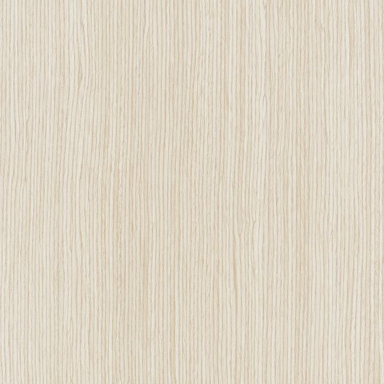 Oak Matt Lacquer 3D Model in Light Wood Color