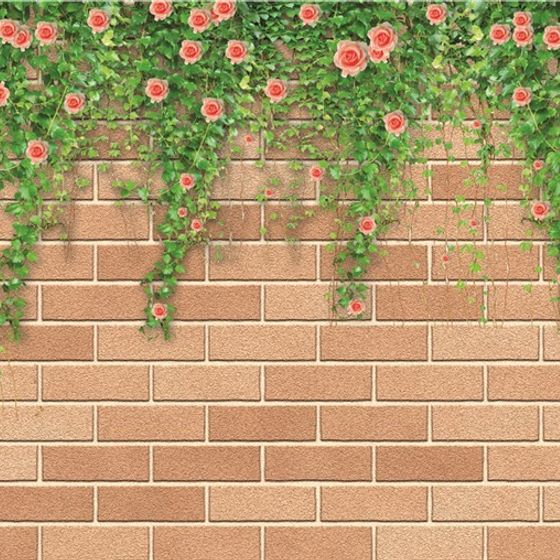 Contemporary Wall Murals,Earth color